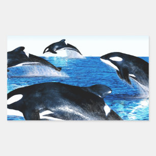 Sticker Rectangulaire Morue de baleine tueuse