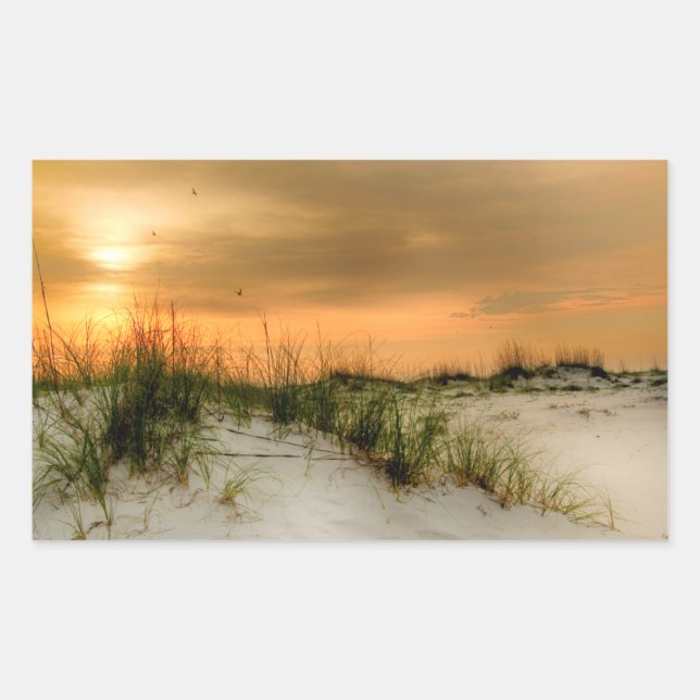 Sticker Rectangulaire Mouettes au lever du soleil (Devant)