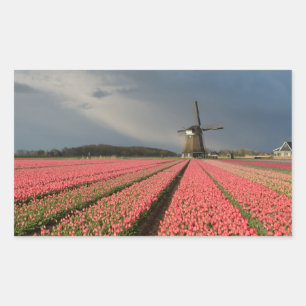 Sticker Rectangulaire Moulin à vent avec tulipes roses au printemps
