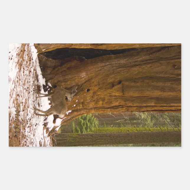 Sticker Rectangulaire Mule Deer (Devant)