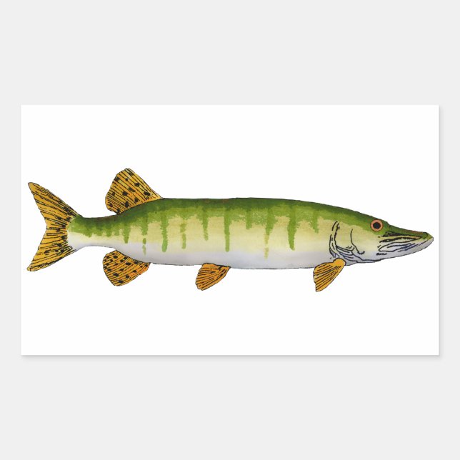 Sticker Rectangulaire Muskellunge (Muskie) (Devant)