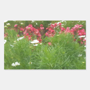 Sticker Rectangulaire Nature Floral rose et blanc Fleurs Grass