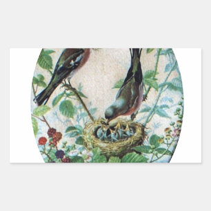 Sticker Rectangulaire Nest of Joy : L'amour du jeune esprit nourdissant