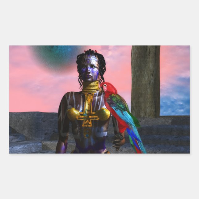 STICKER RECTANGULAIRE NORA CYBER WARRIOR (Devant)