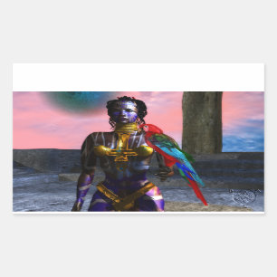 STICKER RECTANGULAIRE NORA CYBER WARRIOR