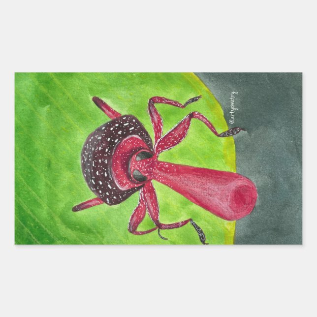 Sticker Rectangulaire Nosy (Devant)