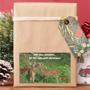Sticker Rectangulaire N'ouvrez pas jusqu'à l'étiquette cadeau de cerf de