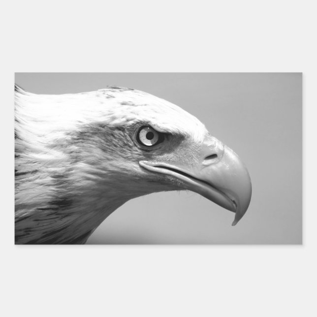 Sticker Rectangulaire Oeil d'aigle noir et blanc (Devant)