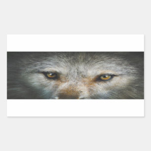 Sticker Rectangulaire Oeil de loup gris étoile Art de la faune