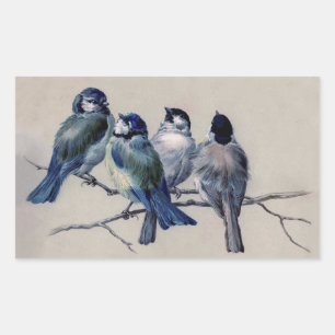 Sticker Rectangulaire Oiseaux gris bleu sur une branche par Hector Giaco