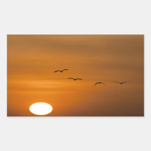 Sticker Rectangulaire Oiseaux volant au coucher du soleil