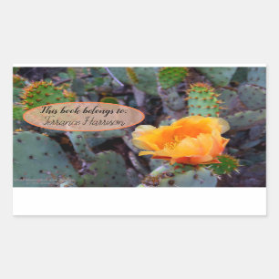 Sticker Rectangulaire Orange poire opuntia cactus photo fleur