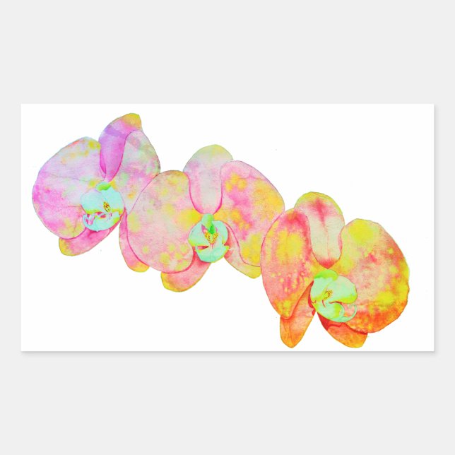 Sticker Rectangulaire Orchidées des Caraïbes, fleurs d'aquarelle tropica (Devant)