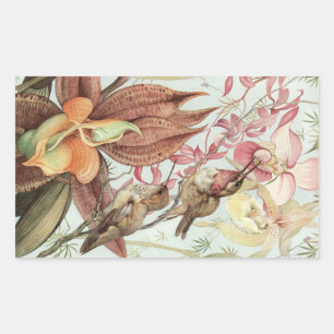 Sticker Rectangulaire Orchidées tropicales vintage, fleurs et colibris