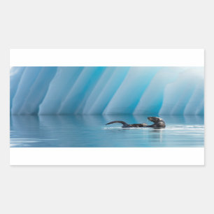 Sticker Rectangulaire Otter de mer joueuse