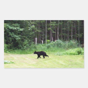 Sticker Rectangulaire Ours noir