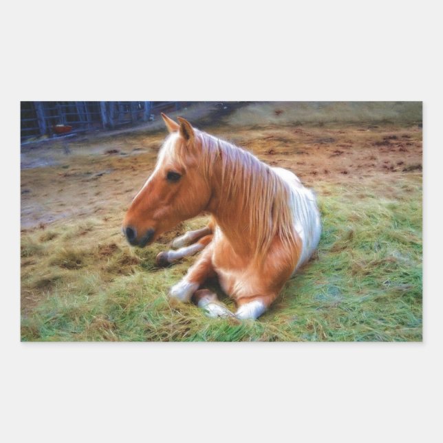 Sticker Rectangulaire Palomino Pinto Cheval Repose d'oeuvres (Devant)