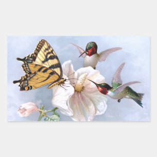 Sticker Rectangulaire Papillon et colibri