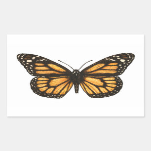 Sticker Rectangulaire Papillon monarque