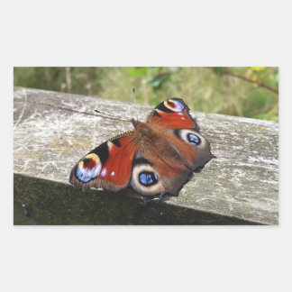 Sticker Rectangulaire Papillon Peacock