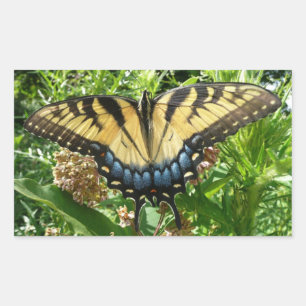 Sticker Rectangulaire Papillon Swallowtail II à Shenandoah