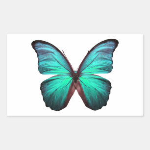 Sticker Rectangulaire Papillon Turquoise brillant