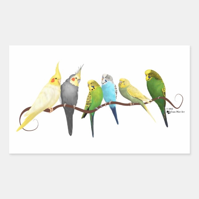 Sticker Rectangulaire Parakeets & Cockatiels ! (Devant)