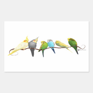 Sticker Rectangulaire Parakeets & Cockatiels !