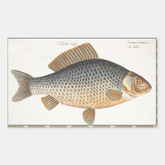 Sticker Rectangulaire Pêche à la carpe peinture à l'eau douce (Devant)