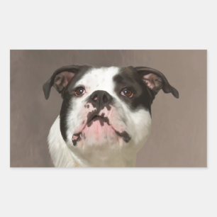 Sticker Rectangulaire Peinture couleur d'eau Bulldog