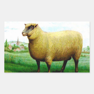 Sticker Rectangulaire peinture vintage de mouton