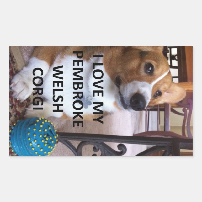Sticker Rectangulaire pembroke welsh corgi fawn love w pic (Devant)