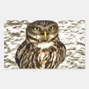 Sticker Rectangulaire Petit Chouette Brown Portrait Artistique