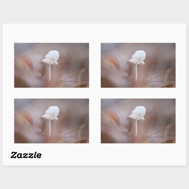 Sticker Rectangulaire Petite photo de la nature des champignons (Feuille)
