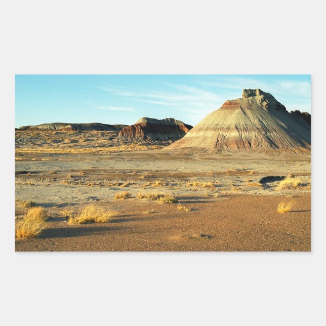 Sticker Rectangulaire Petrified Forest Desert Arizona Paysage Photo (Devant)
