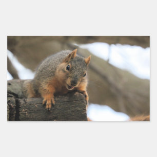 Sticker Rectangulaire Pfft