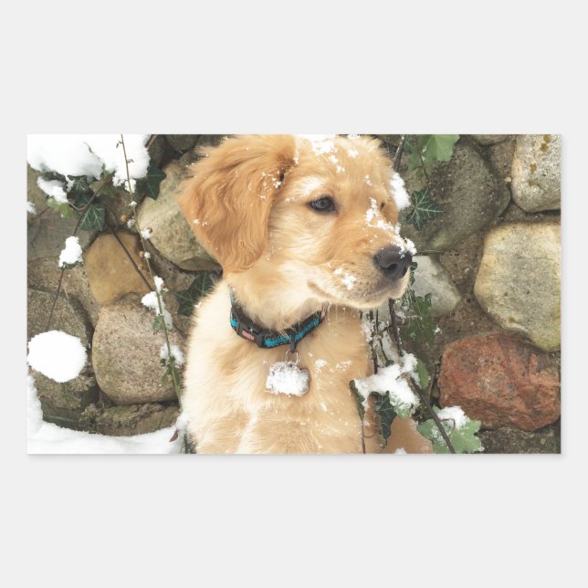 Sticker Rectangulaire Photo Cute Puppy (Devant)