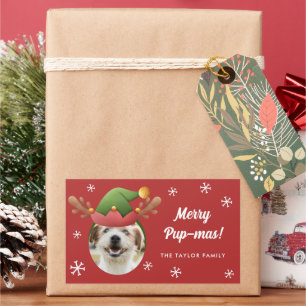 Sticker Rectangulaire Photo de chien avec Elf Reindeer Antler Casquette 