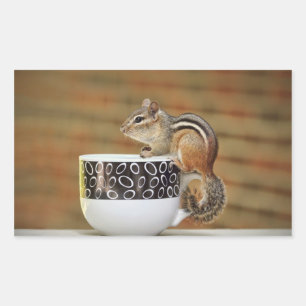 Sticker Rectangulaire Photo de Chipmunk avec Latte Coffee Cup