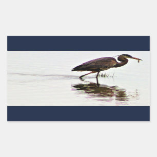 Sticker Rectangulaire Photo Great Blue Heron