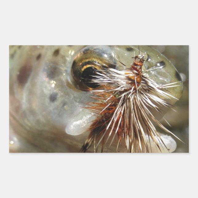 Sticker Rectangulaire Photo Rainbow Trump (Devant)