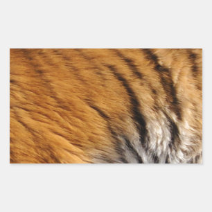 Sticker Rectangulaire Photo Tiger Stripes Big Cat Wildlife