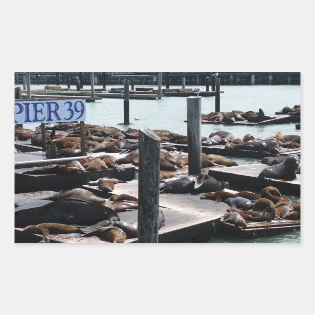 Sticker Rectangulaire Pier 39 Sea Lions (Devant)