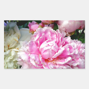 Sticker Rectangulaire Pies roses et blanches