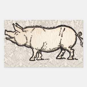 Sticker Rectangulaire Pig Antique Piggy Cute Illustration Vintage