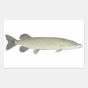 Sticker Rectangulaire Pike du Nord