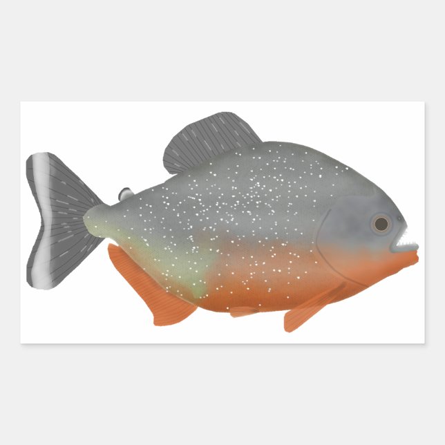 Sticker Rectangulaire Piranha (Devant)