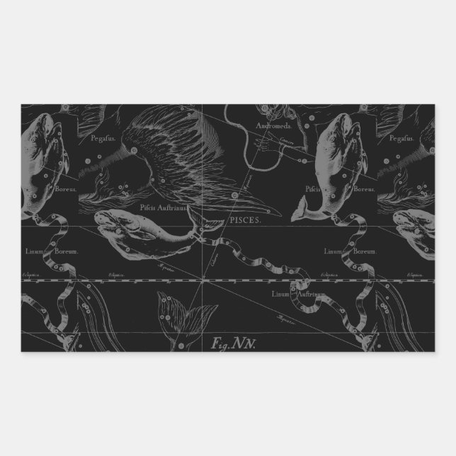 Sticker Rectangulaire Pisces Constellation Hevelius 1690 sur Black (Devant)