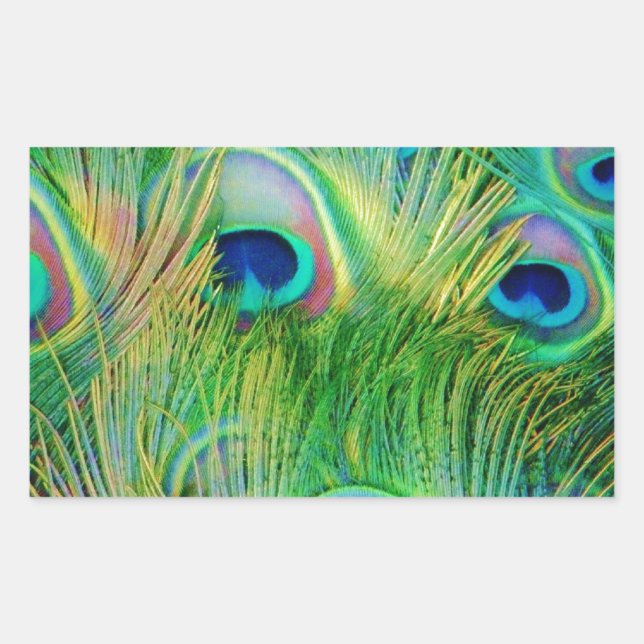 Sticker Rectangulaire Plumes de paon (Devant)
