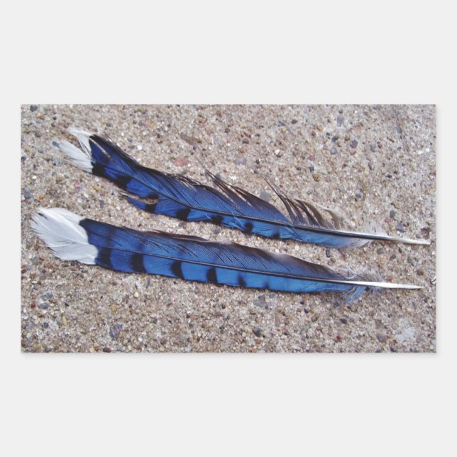 Sticker Rectangulaire Plumes d'oiseau Blue Jay (Devant)